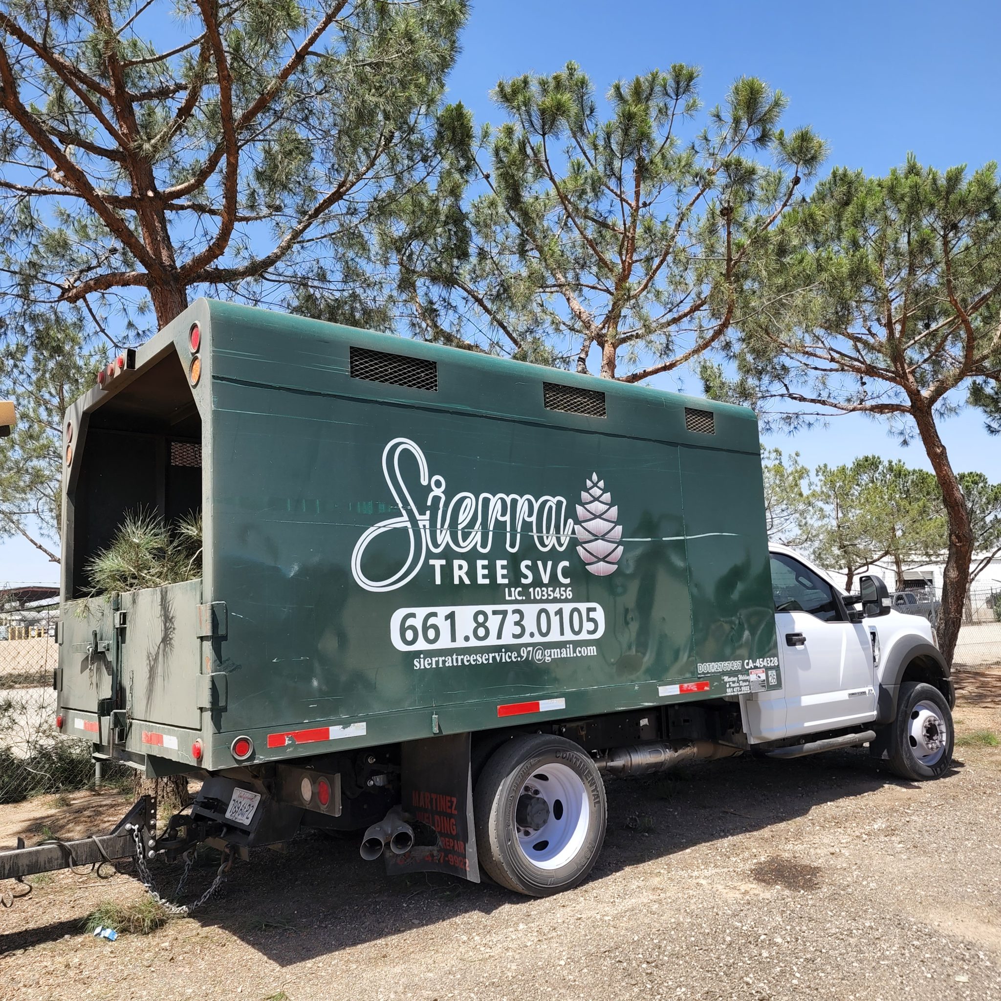 Sierra Tree Service Tree trimming and tree prunning